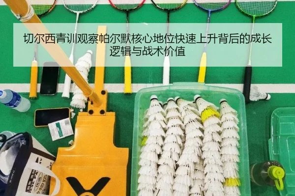 切尔西青训观察帕尔默核心地位快速上升背后的成长逻辑与战术价值