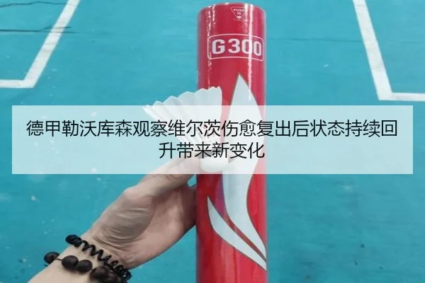 德甲勒沃库森观察维尔茨伤愈复出后状态持续回升带来新变化